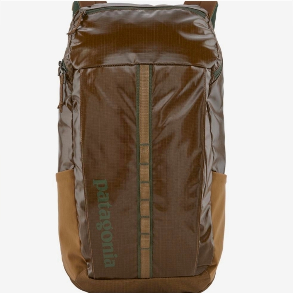 Patagonia Black Hole 25L Backpack In Coriander